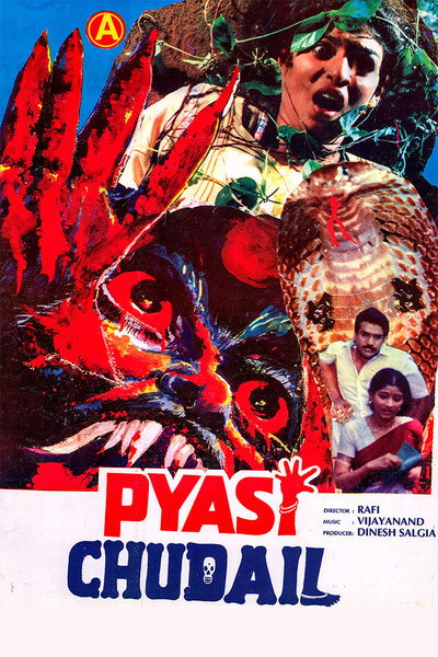 Póster de Pyasi Chudail