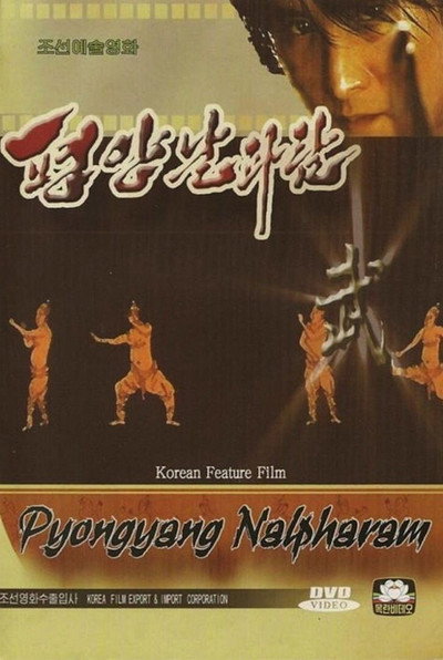 Póster de Pyongyang nalpharam