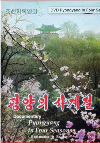 Póster de Pyongyang ui sagyejol