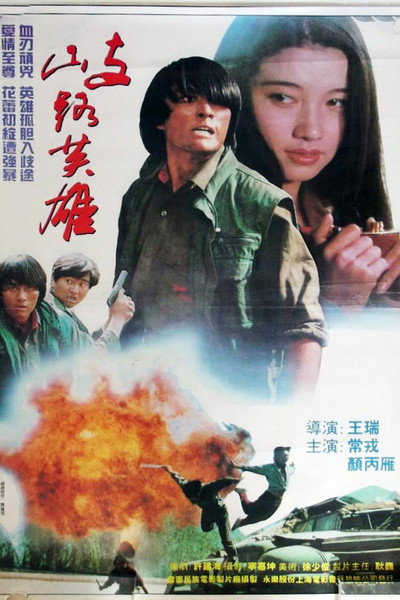 Póster de Qi lu ying xiong