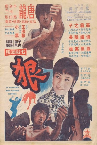 Póster de Qin xiong