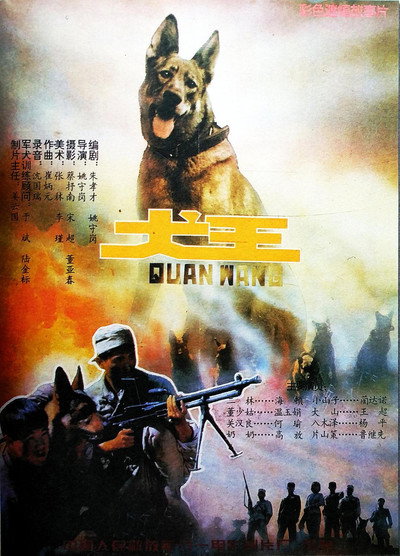 Póster de Quan wang