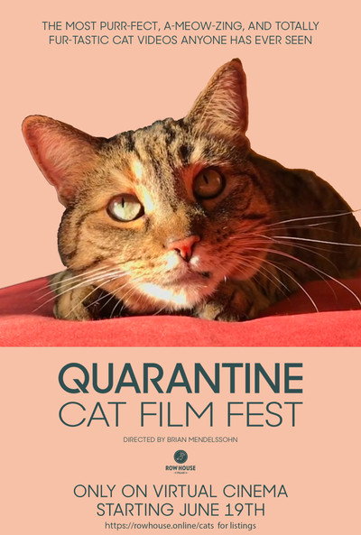 Póster de Quarantine Cat Film Fest