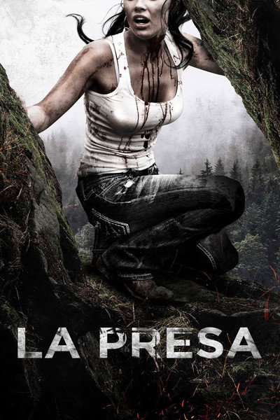 Póster de Quarries