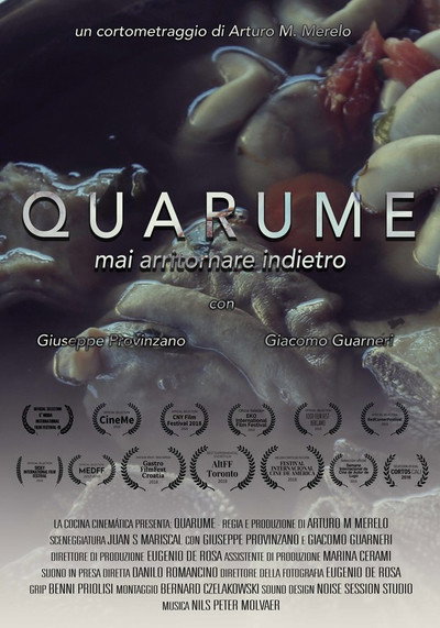 Póster de Quarume: Never go back