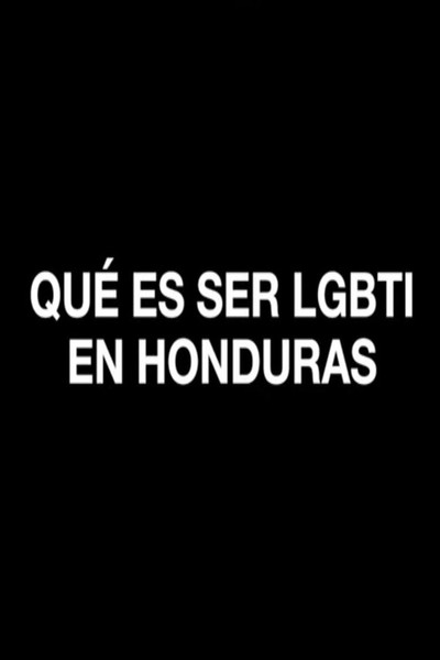 Póster de Qué es ser LGBTI en Honduras