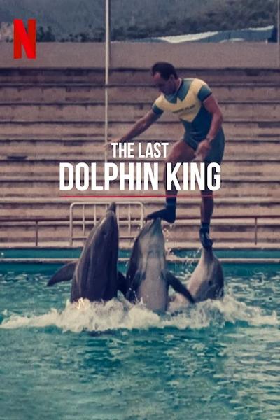 Póster de ¿Qué le pasó al rey de los delfines?
