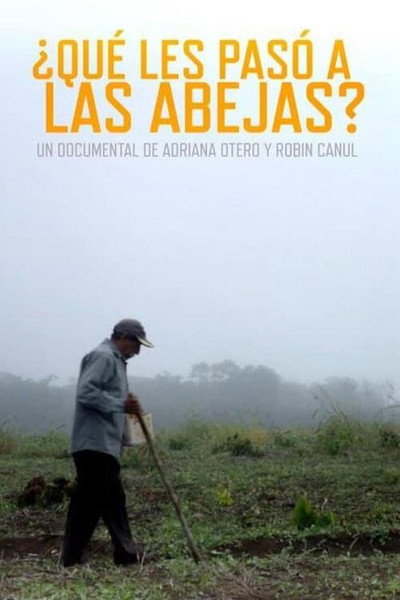 Póster de ¿Qué les pasó a las abejas?