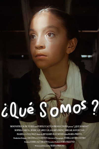 Póster de ¿Qué Somos?
