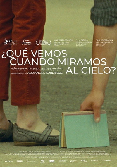 Póster de ¿Qué vemos cuando miramos al cielo?