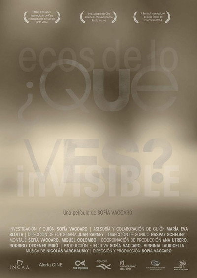 Póster de ¿Qué ves?: ecos de lo inVISIBLE