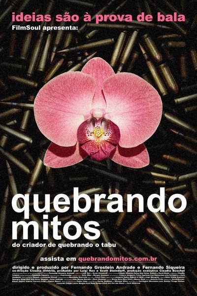 Póster de Quebrando Mitos