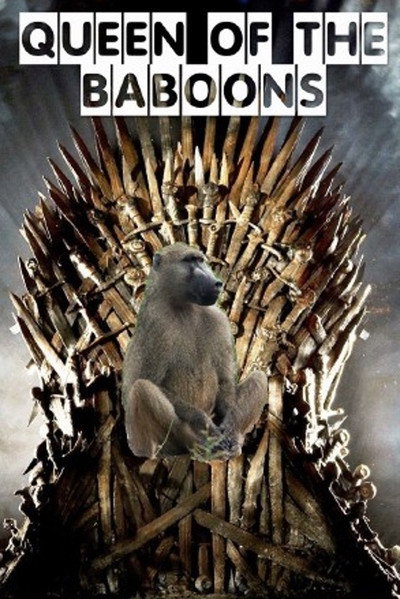 Póster de Queen of the Baboons