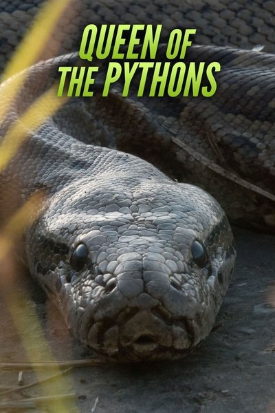 Póster de Queen of the Pythons