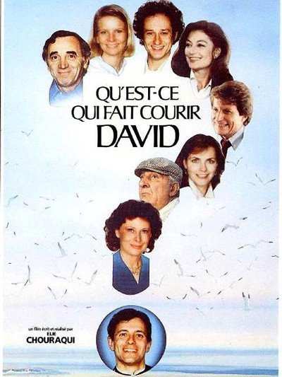 Póster de Qu'est-ce qui fait courir David?