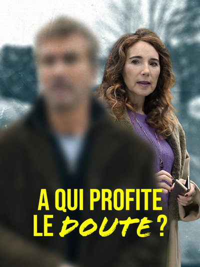 Póster de À qui profite le doute?