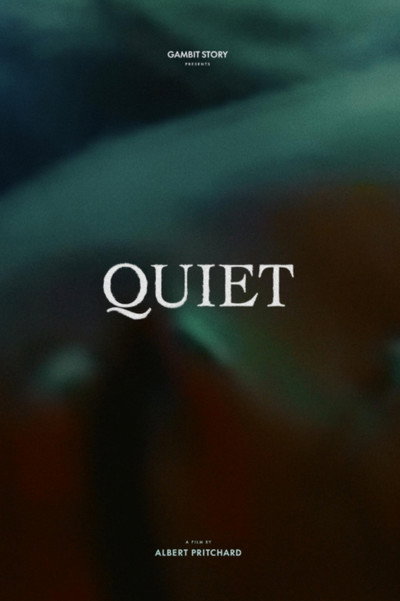 Póster de Quiet