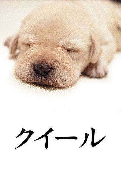 Póster de Quill: The Life of a Guide Dog