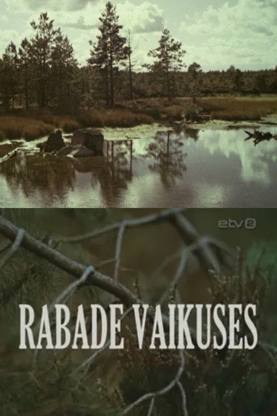 Póster de Rabade vaikuses