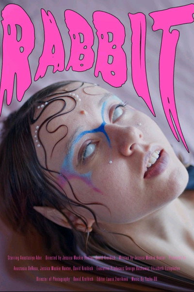 Póster de Rabbit