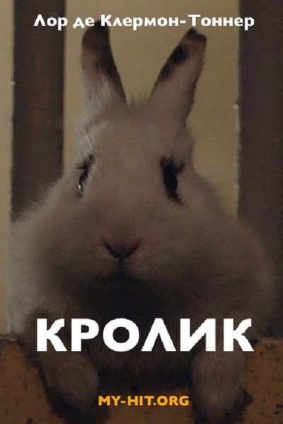 Póster de Rabbit