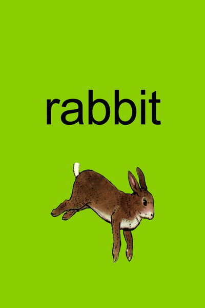 Póster de Rabbit