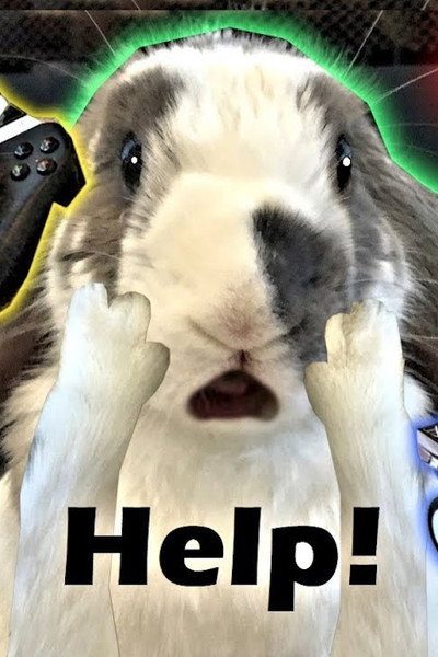 Póster de Rabbit Home Alone