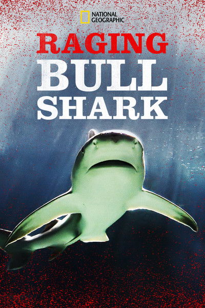 Póster de Raging Bull Shark