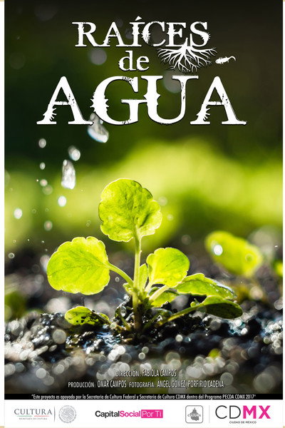 Póster de Raíces de agua
