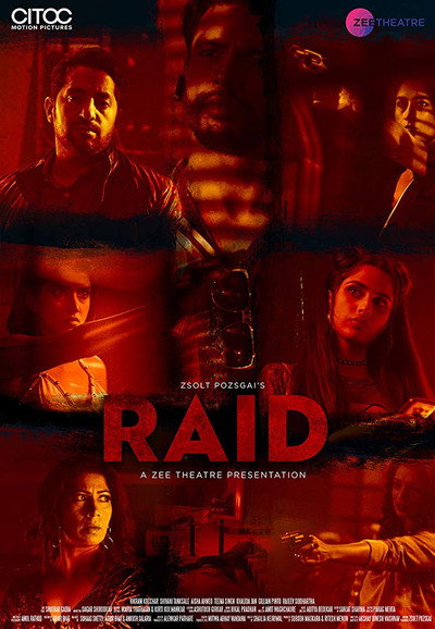 Póster de Raid