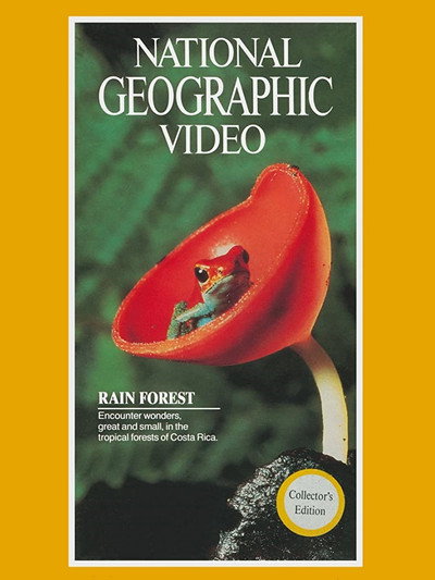 Póster de Rain Forest