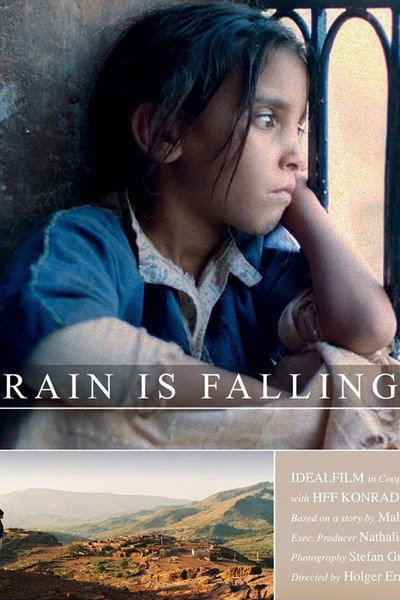 Póster de Rain Is Falling