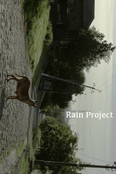 Póster de Rain Project