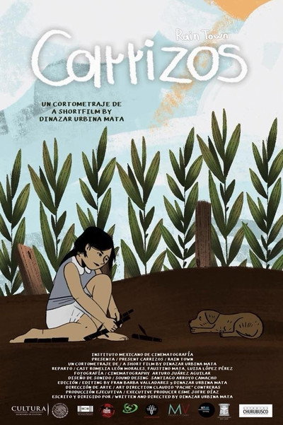 Póster de Rain Town