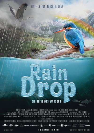 Póster de Raindrop