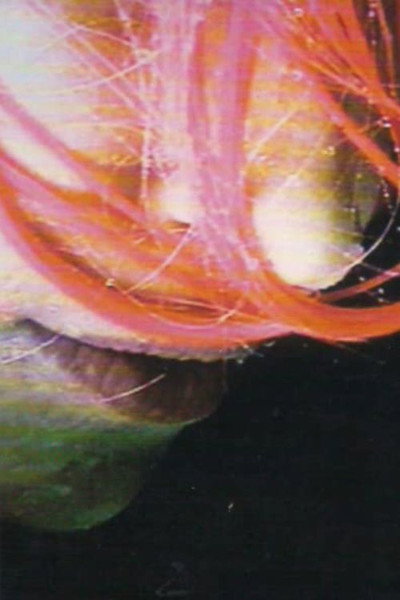 Póster de Rainwoman (I Am Called a Plant)