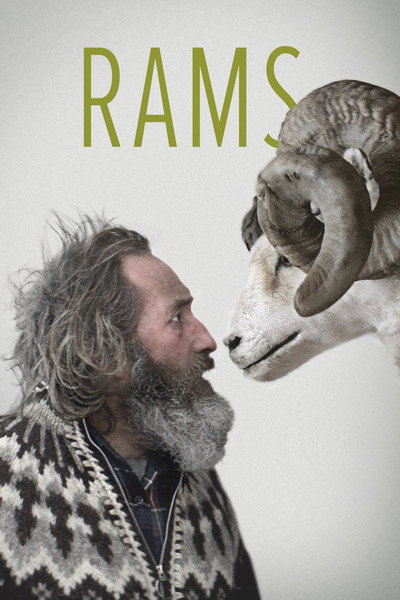 Póster de Rams (El valle de los carneros)