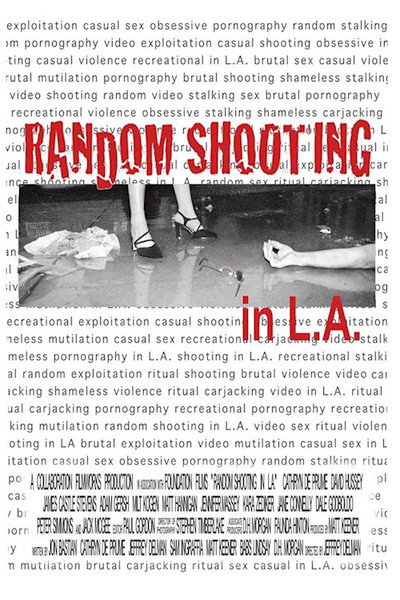 Póster de Random Shooting in L.A.