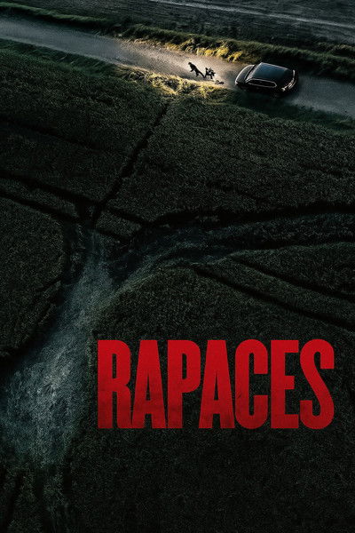 Póster de Rapaces