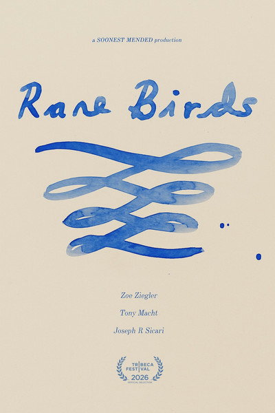 Póster de Rare Birds
