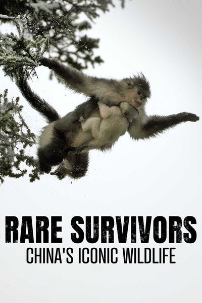 Póster de Rare Survivors: China's Iconic Wildlife