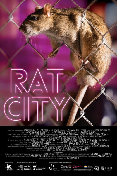 Póster de Rat City