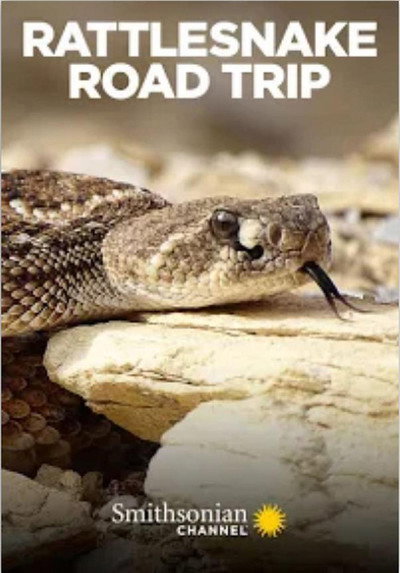 Póster de Rattlesnake Roadtrip