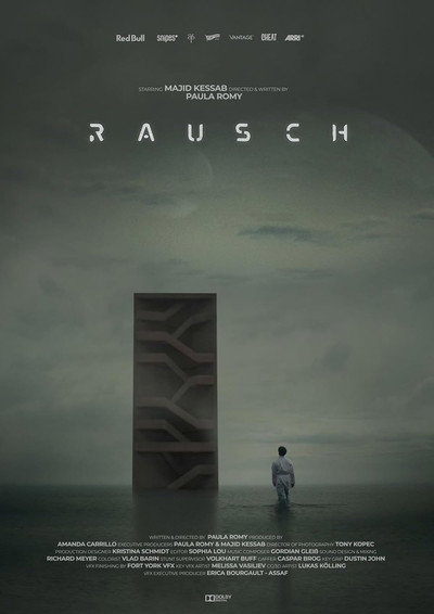 Póster de Rausch