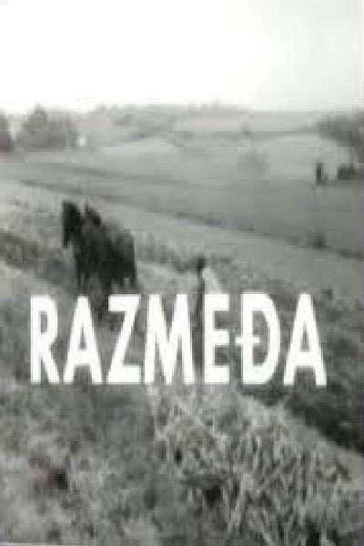 Póster de Razmedja
