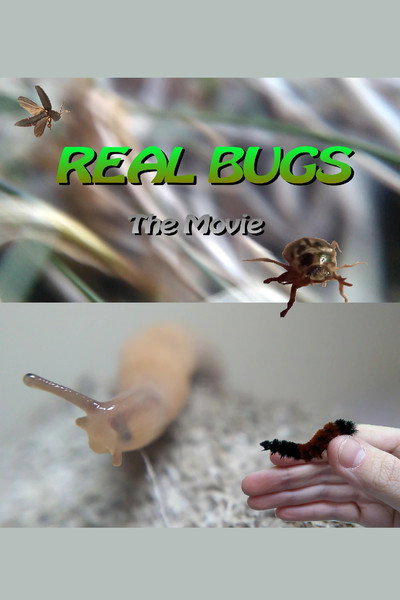 Póster de Real Bugs: The Movie