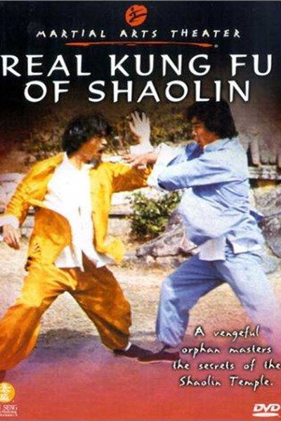 Póster de Real Kung Fu of Shaolin