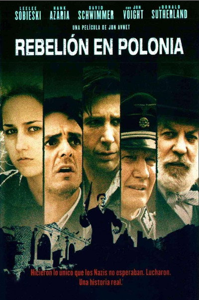 Póster de Rebelión en Polonia