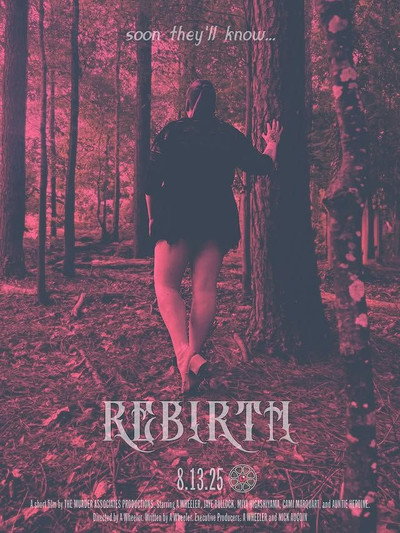 Póster de Rebirth