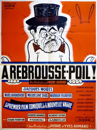 Póster de À rebrousse-poil